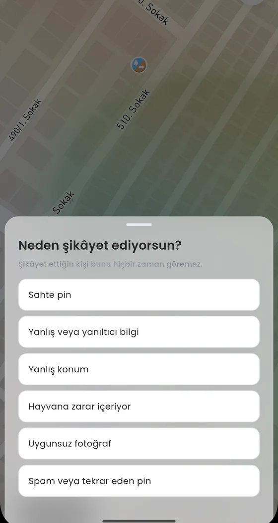 Report reason list